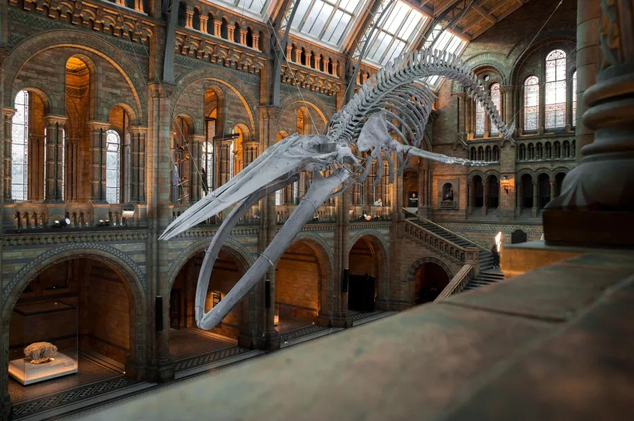 Nationella naturmuseet