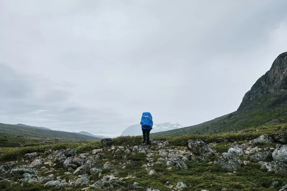 Vandring på Grönland