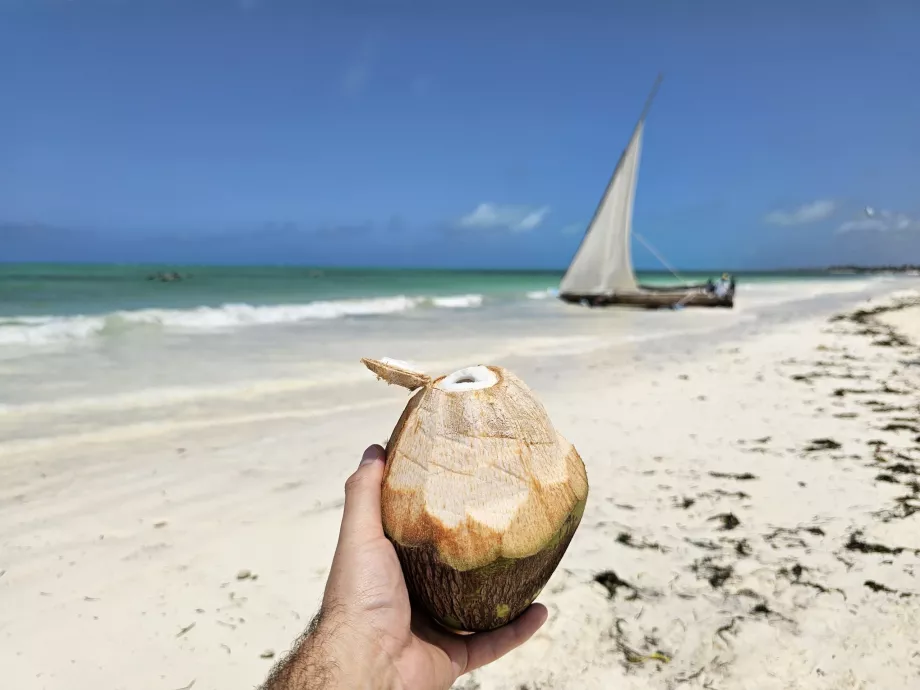 Kokosnöt på stranden i Paje