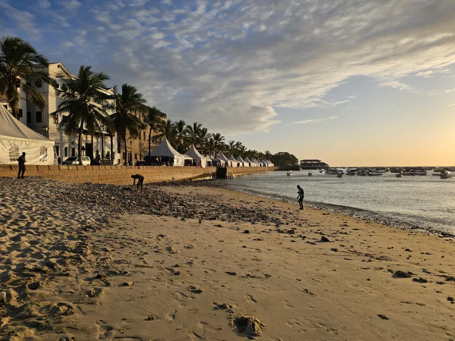 Strand vid Forodhani strandpromenad