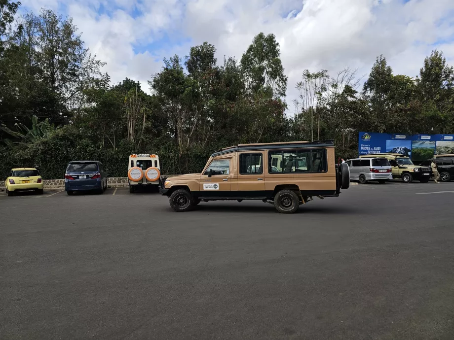 Transfer till safari
