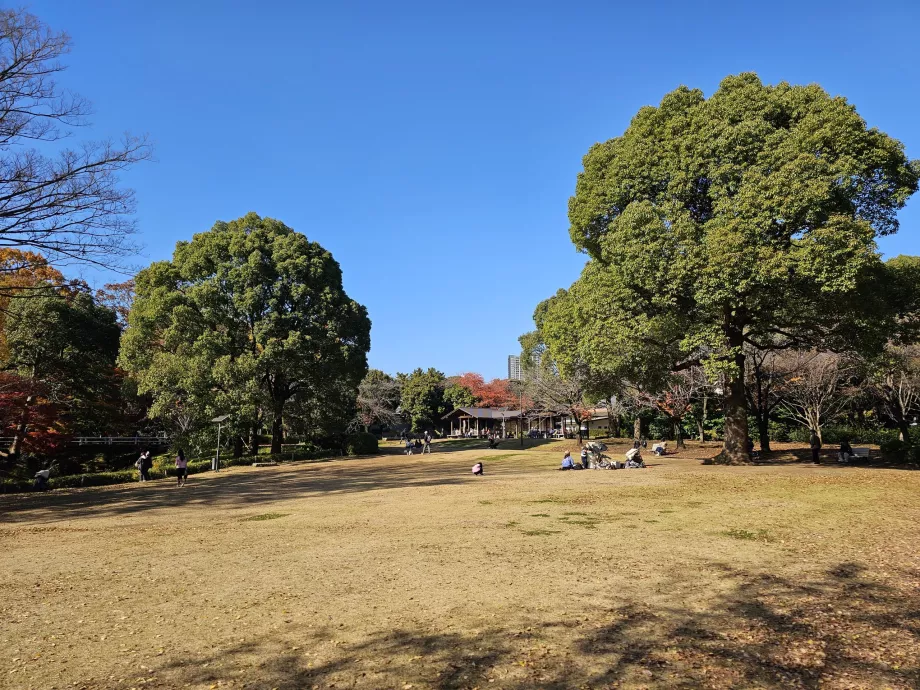 Kitanomaru Park