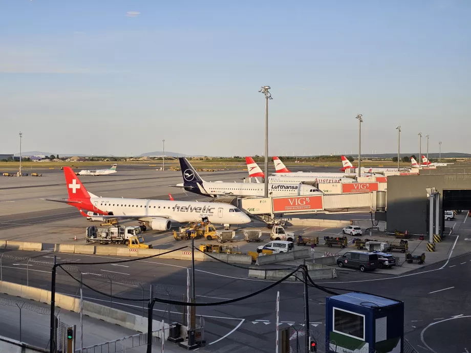 Utsikt över flygfältet