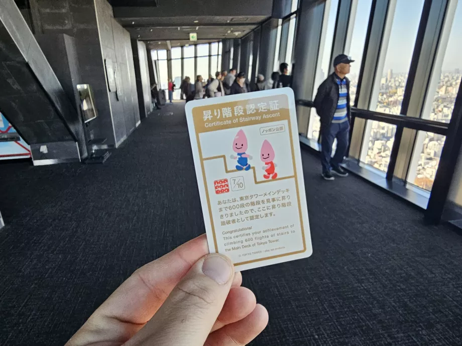 Certifikat efter att ha gått upp för trappan