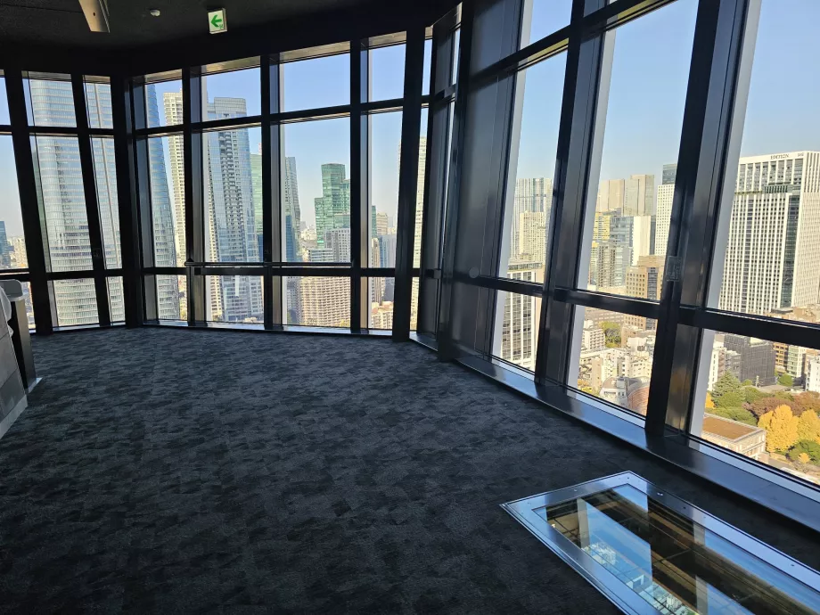 Huvudobservationsplattform