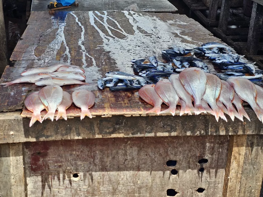 Färjans fiskmarknad