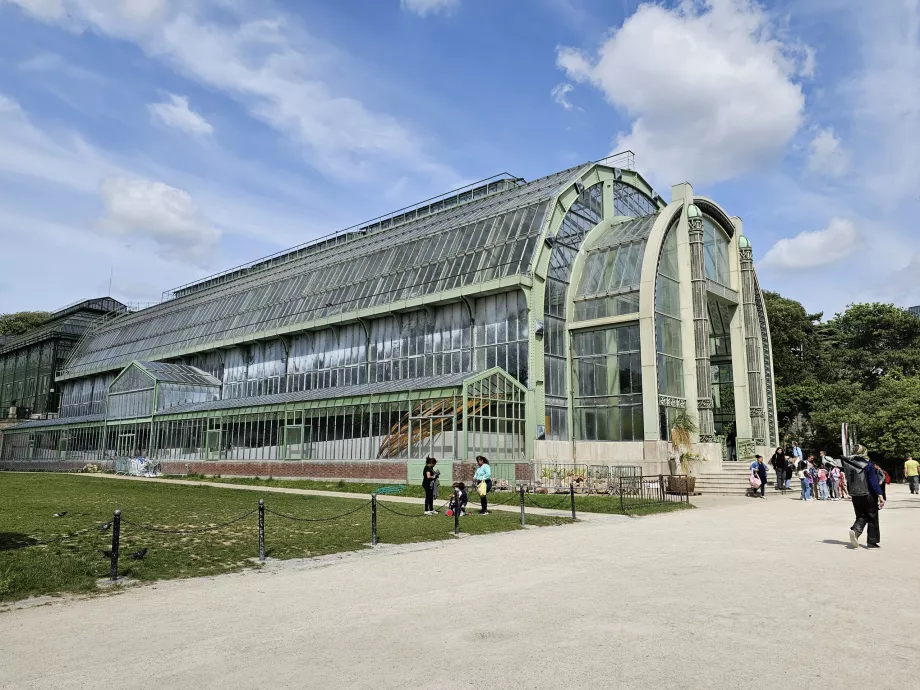 Växthus i Jardin des Plantes
