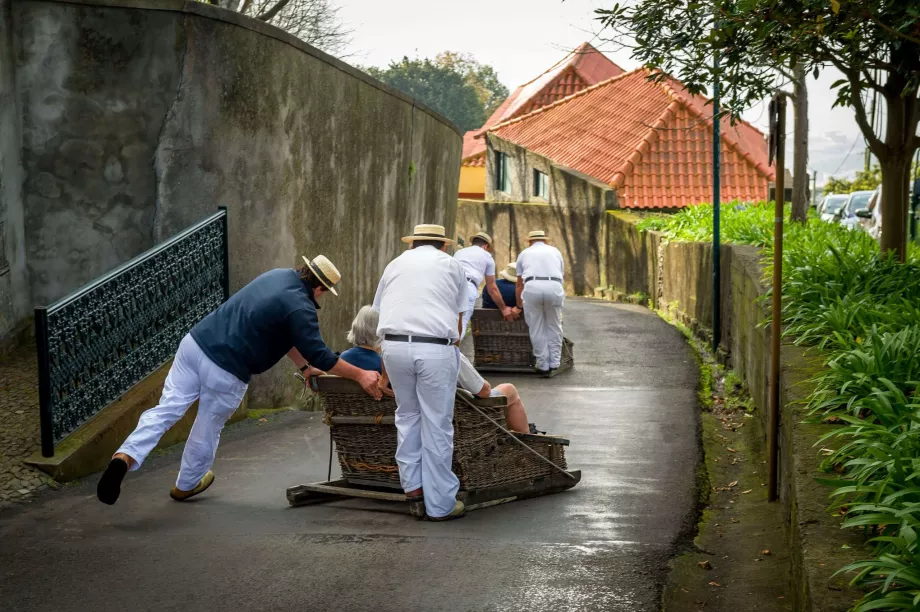 Madeira släde