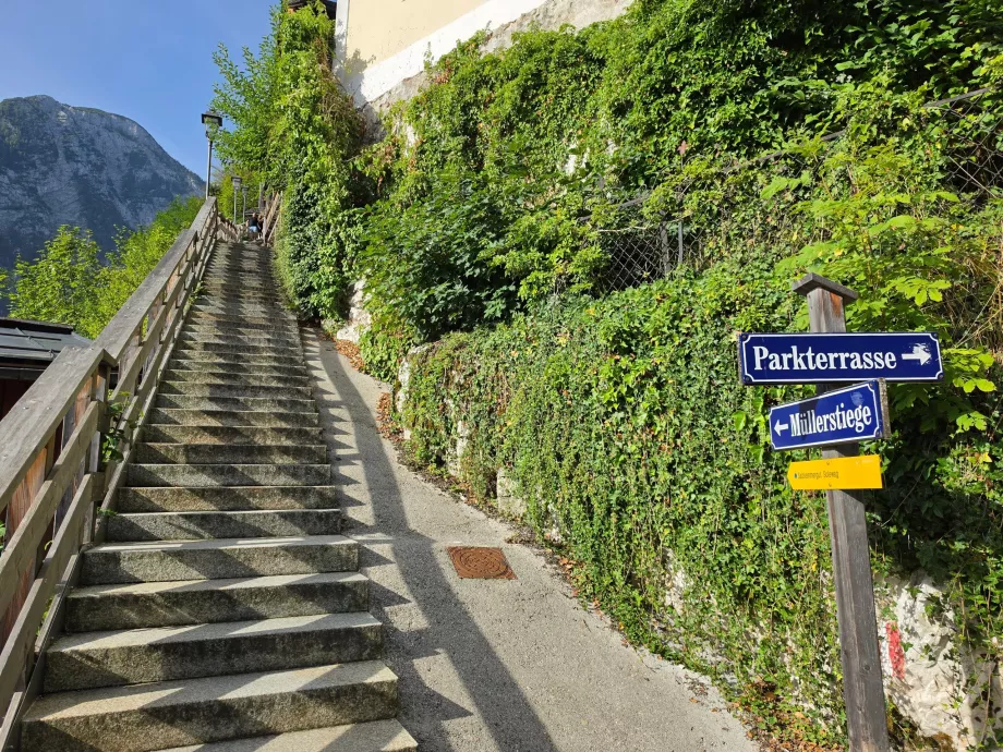 Trappor: början på stigen uppför Salzberg