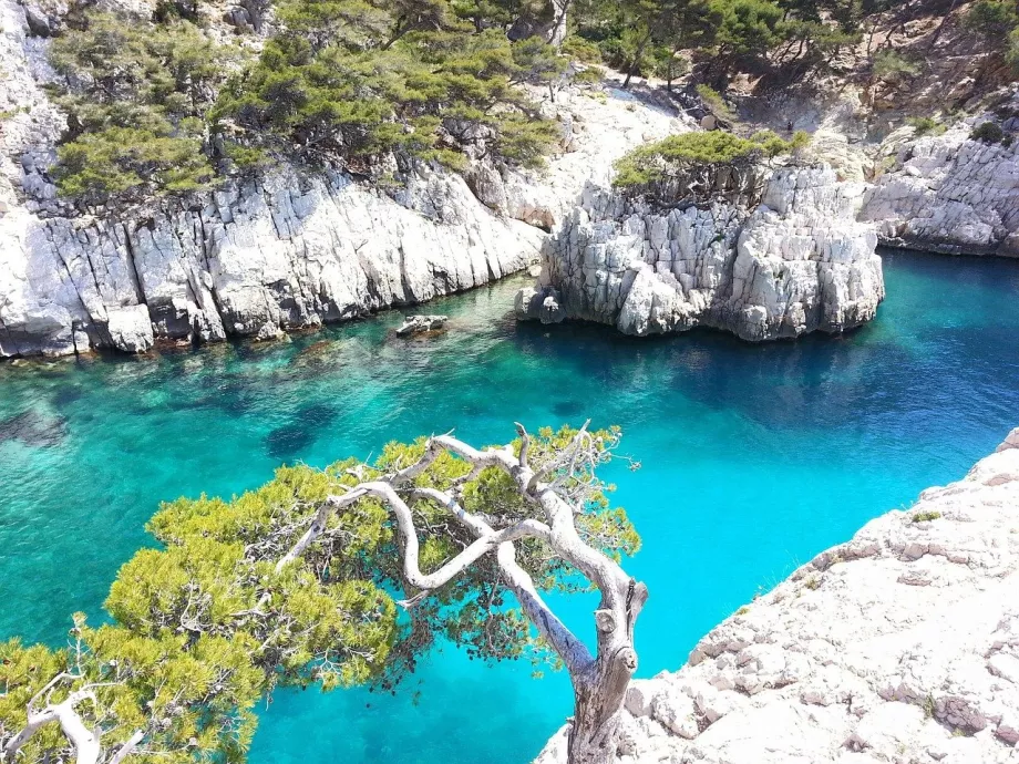 Bukten i Calanques