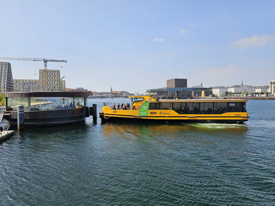 Vattenbussar