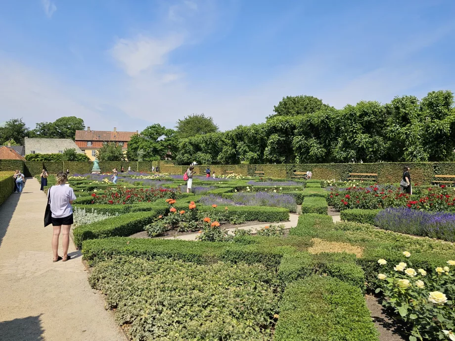 Rosenträdgård