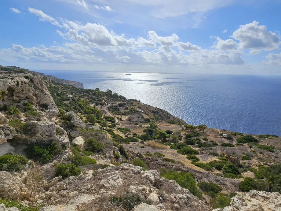 Fält längs Dingli-klipporna
