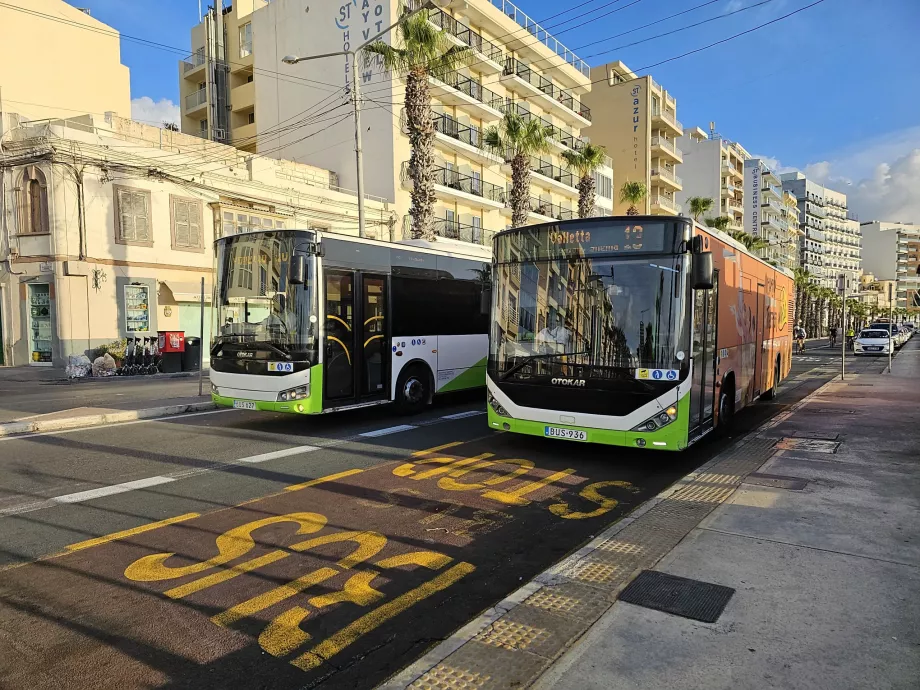 Bussar i Malta