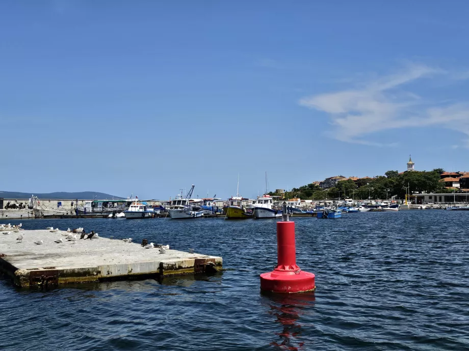 Båtliv
