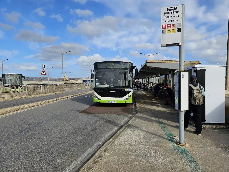 Busshållplatser vid Cirkewwa docka