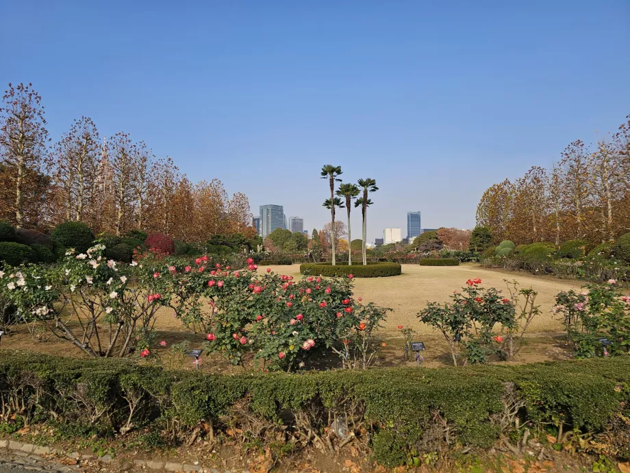 Shinjuku Gyoen National Garden