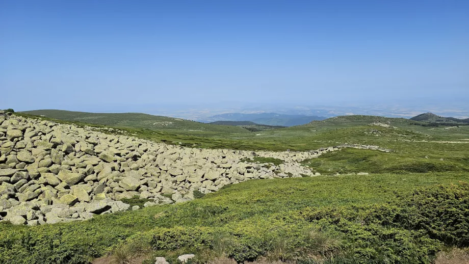 Utsikt över Vitosha-bergen
