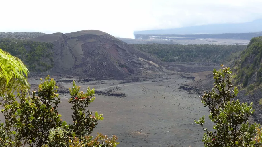 Kilauea Av
