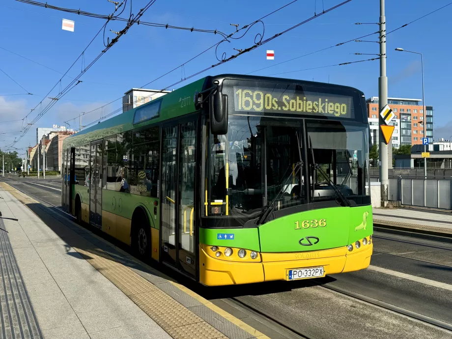 Bussar i Poznan
