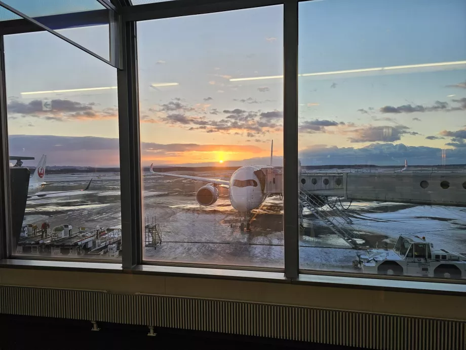 Utsikt över flygplatsområdet från transitzonen