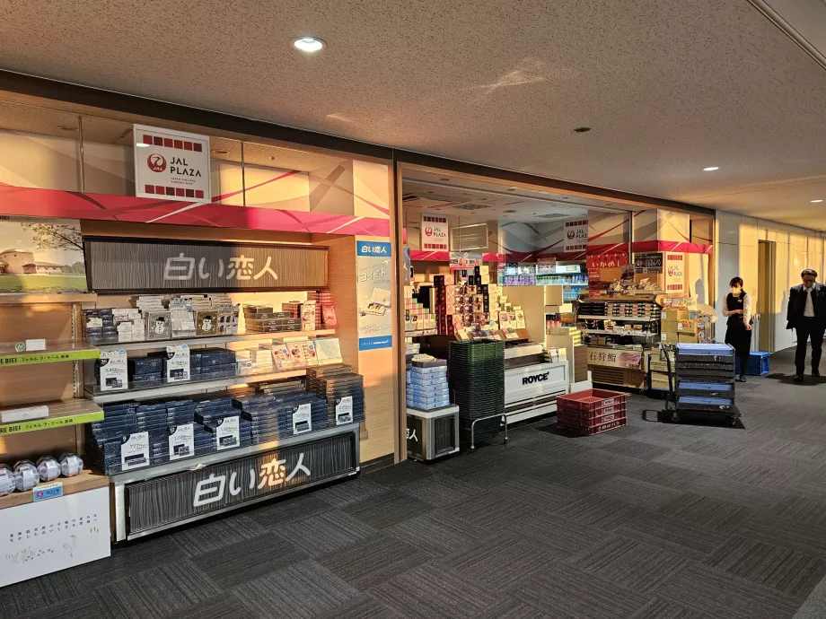 Minimarket JAL Plaza, inrikes transitzon
