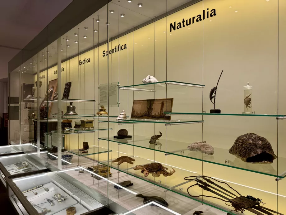 Museum i det kungliga slottet i Poznan