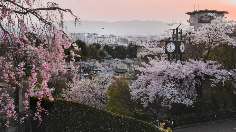 Våren Kyoto