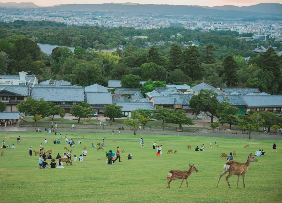 Utsikt från Nara Park