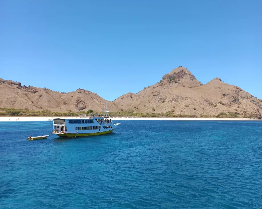 Rinca Island, Komodoöarna, Indonesien
