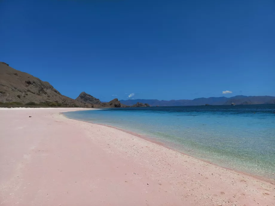 Pink Beach, Komodoöarna, Indonesien