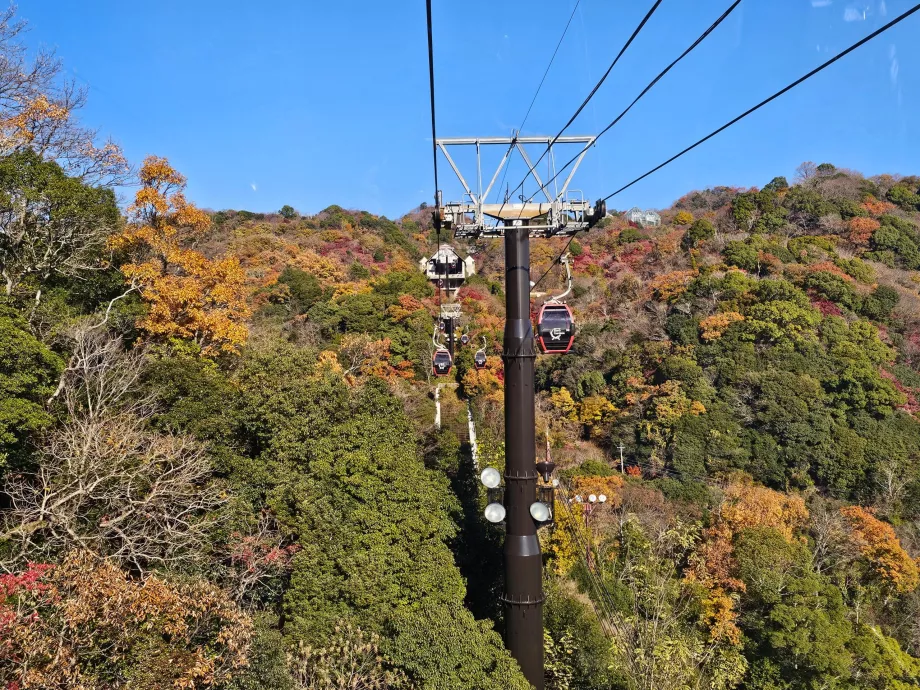 Utsikt från linbanan
