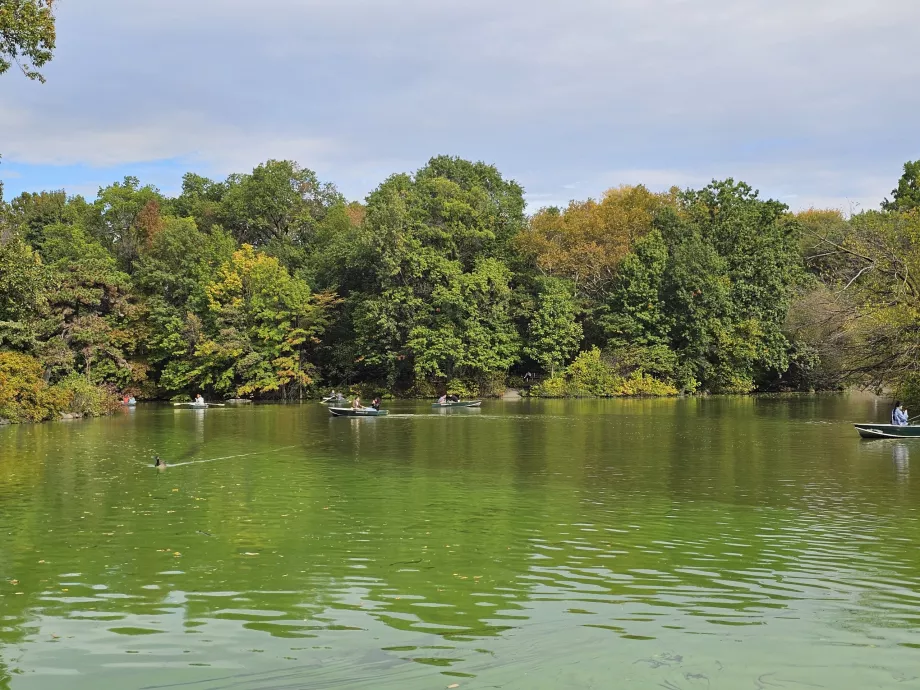 Sjö i Central Park