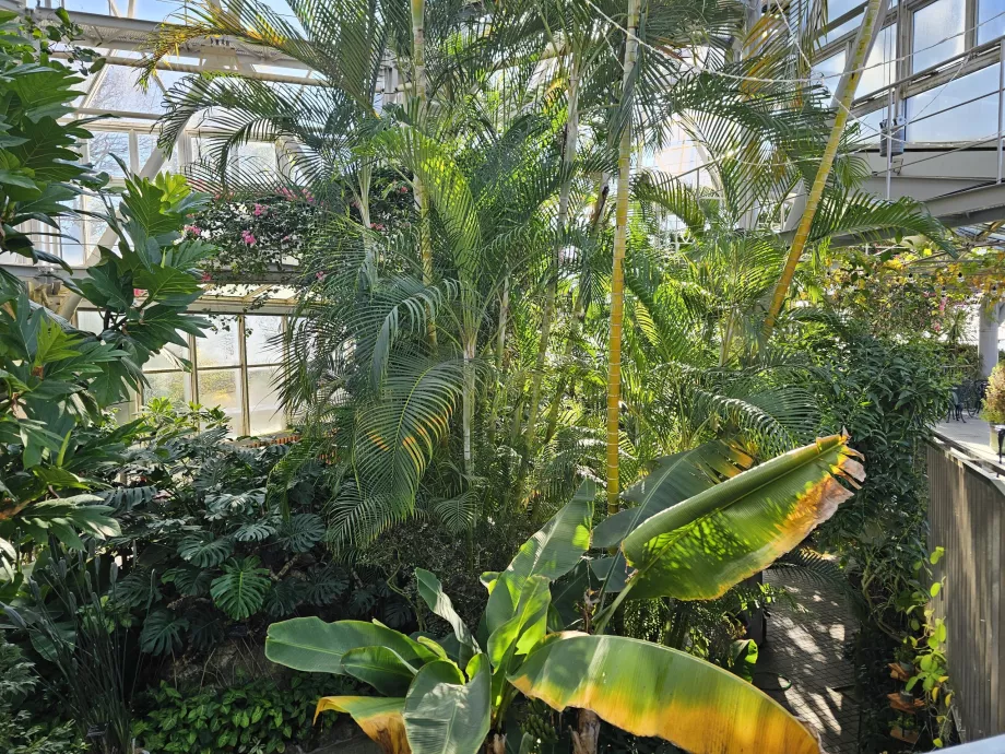 Växthus vid Nunobiki Herb Gardens