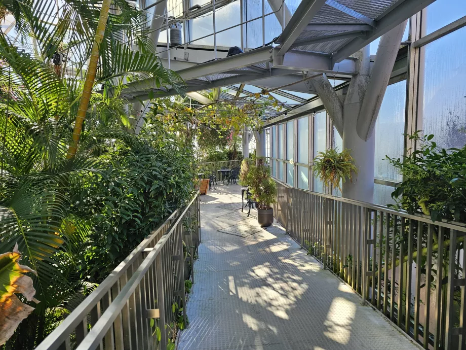 Växthus vid Nunobiki Herb Gardens