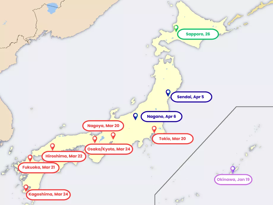 Karta över blommande sakura