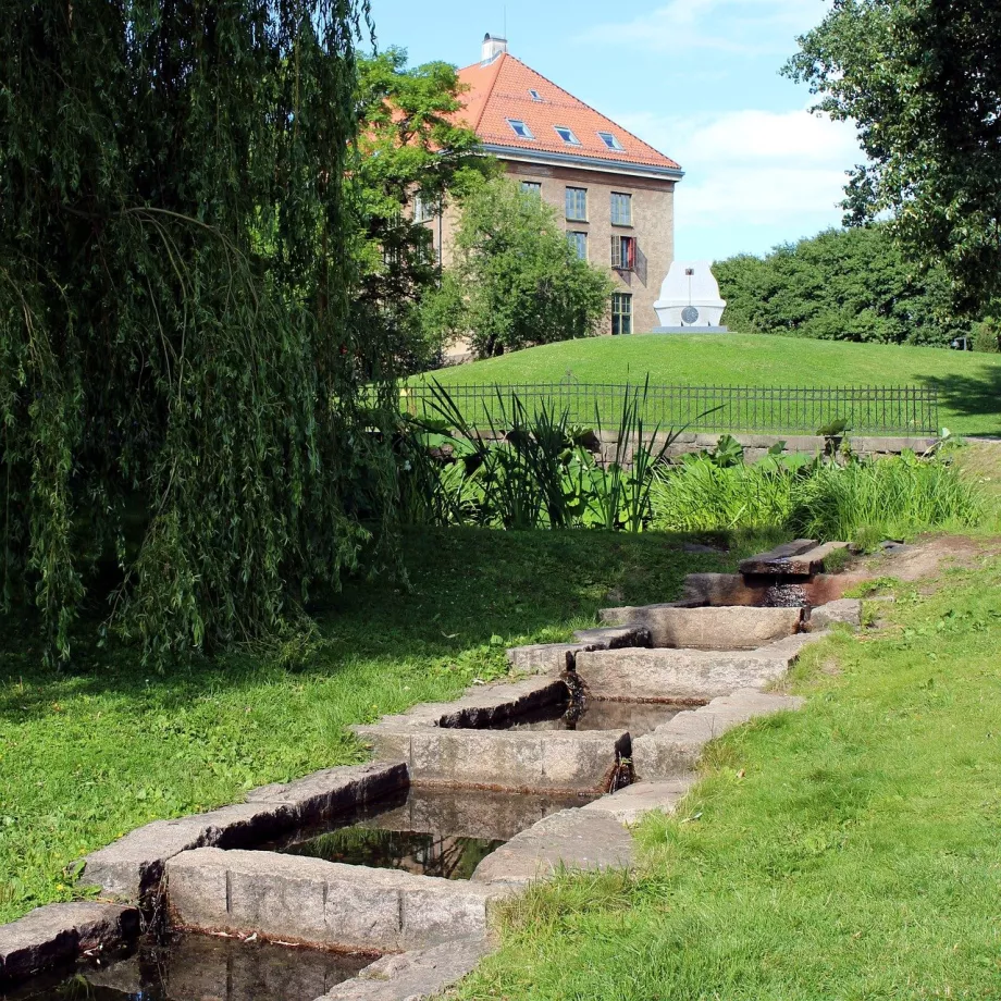 Botanisk trädgård