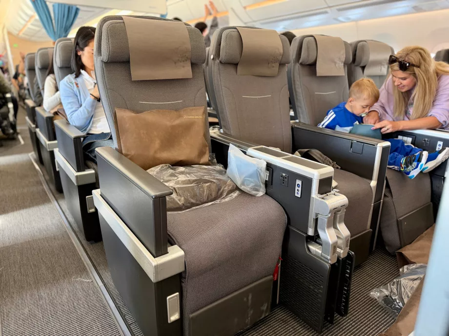 Sittplatser i Premium Economy
