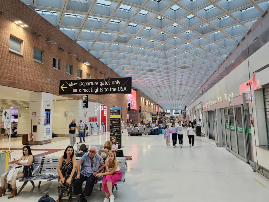 Säkerhetskontroll till USA