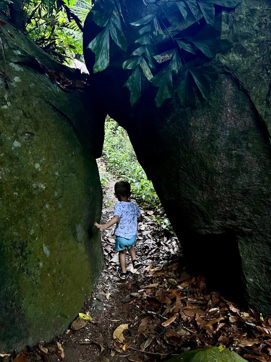 Paya-Genting vandring, Tioman