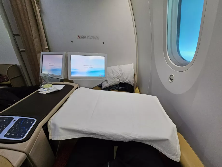 Utdragbar IFE-skärm och bord, plats 1J