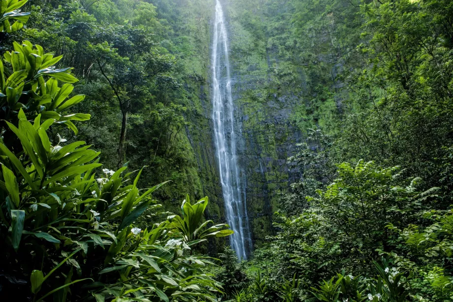 Waimoku vattenfall