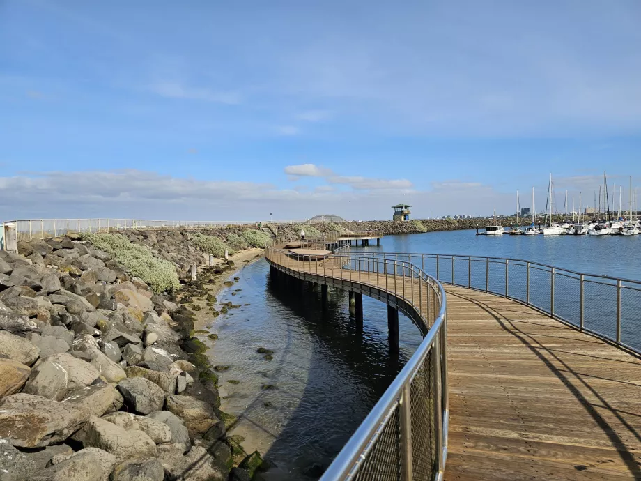 Pingvinskådningsstig på St. Kilda Pier