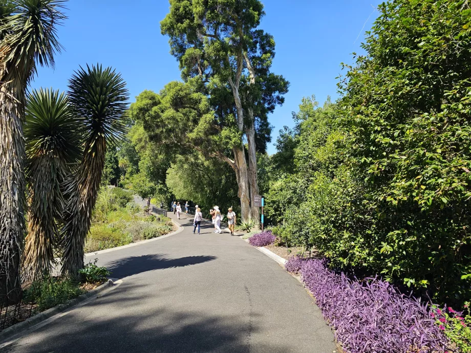 Kungliga botaniska trädgården