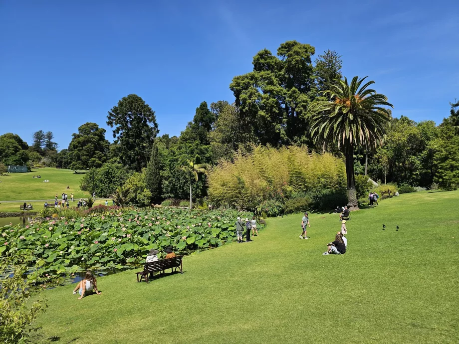 Kungliga botaniska trädgården