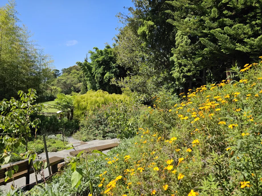 Kungliga botaniska trädgården