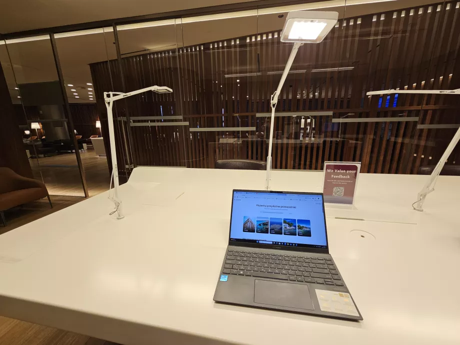 Arbete med guiderna på Cestee
