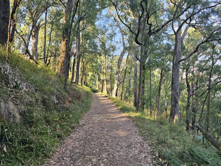 Dandenong Ranges, vandringsled