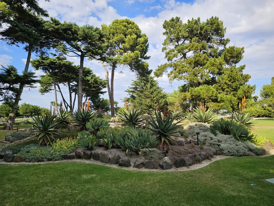 Williamstown Botaniska trädgård