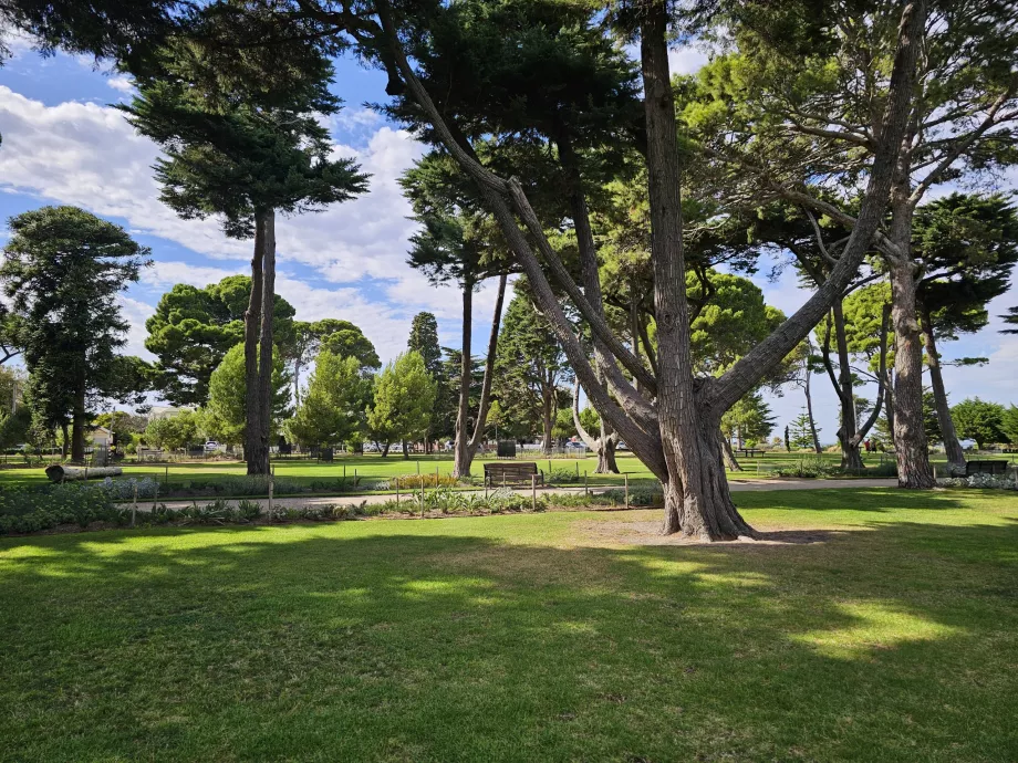 Williamstown Botaniska trädgård